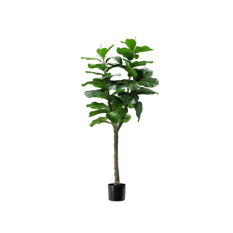 garden friend pianta ficus lyrata in polietilene con 60 foglie e vaso con muschio 130cm ean 8023755056452