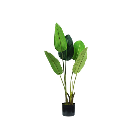 garden friend pianta strelitzia in polietilene con 5 foglie e vaso 100cm ean 8023755056469