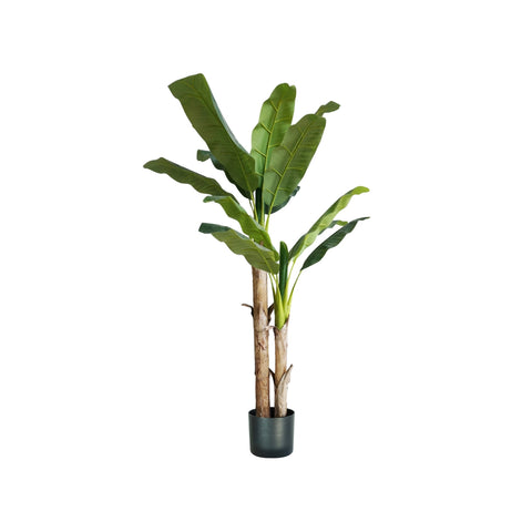Bananier en polyéthylène et pot avec 17 feuilles 170cm
