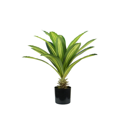 garden friend pianta dracaena in polietilene con 19 foglie e vaso con muschio 60cm ean 8023755056711