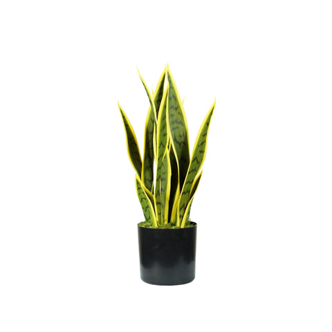 Plante Sansevieria en polyéthylène avec 12 feuilles en pot avec mousse 45cm