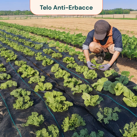 Telo Giardino Anti Erbacce Giardino 2x10 m 90 g/m² in PP Multiuso