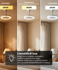 Ventilatore da Soffitto con Luce LED 10W Dimmerabile – 3 Velocità, Timer 4h e Telecomando – Diametro 25cm, Attacco E27, Potenza 55W – Luce Calda, Naturale e Fredda – Silenzioso