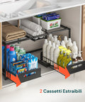 Organizer Sottolavello Cucina Espandibile con 2 Cassetti Estraibili