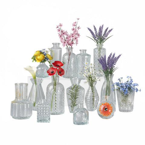 Set 15 Vasetti in Vetro Trasparente per Fiori e Centrotavola Varie Forme e Misure