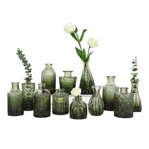 Set de 12 Vases Décoratifs en Verre avec Formes et Tailles Assorties pour Fleurs et Centres de Table