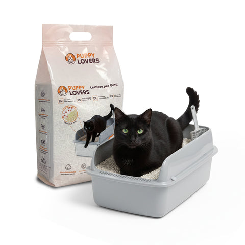 Substrat Absorbant Végétal 6L - Sable pour Litière Chat 4+2 Offerts