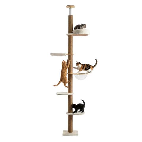Arbre à Chat Réglable au Plafond 260-300 cm en Bois et Jute avec Hamac Dôme, Niche et Plateformes