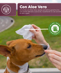 Salviette Pets 40 / 480 pz con Aloe – Detergenti e Deodoranti per Uso Quotidiano