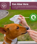 Salviette Pets 40 / 480 pz con Aloe – Detergenti e Deodoranti per Uso Quotidiano