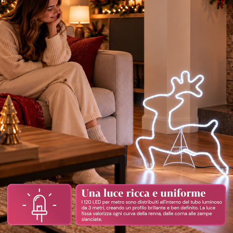 Renne lumineuse en néon LED 65x58 cm blanc froid, intérieur et extérieur
