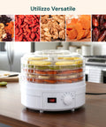 Mini Essiccatore Elettrico per Cibo – 5 Scomparti e Coperchio Trasparente