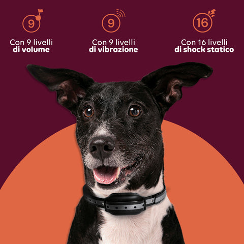 Collare Educativo Cani Taglia Grande/Piccola - Impermeabili e Controllo fino a 1000m