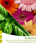 Tris Contenitori Portapiante Per Parete Verde