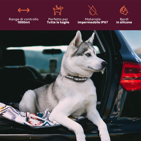 Collare Educativo Cani Taglia Grande/Piccola - Impermeabili e Controllo fino a 1000m