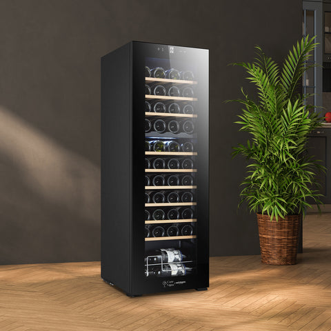 Cantinetta vini da 44 bottiglie 130 litri con design elegante nero su pavimento in legno, ripiani in legno e pianta decorativa