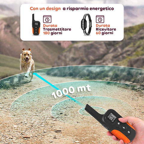 Collare Educativo Cani Taglia Grande/Piccola - Impermeabili e Controllo fino a 1000m