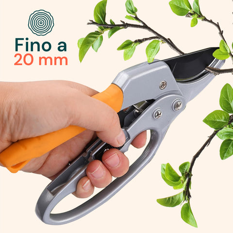 Forbici Da Giardino Con Lame In Acciaio Al Carbonio