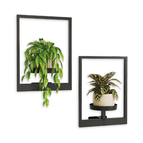 Porte-plantes murales en métal noir, lot de 2 cadres de 30x40 cm