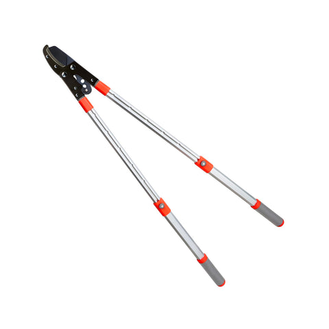 Coupe-branches Lame 20cm Avec Cliquet Et Manche Extensible 70-104cm