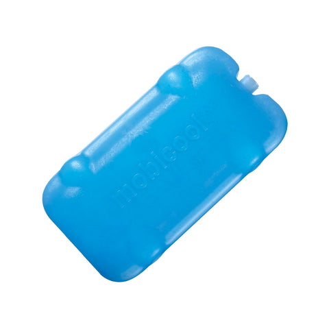Lot de 2 pains de glace synthétique 400g