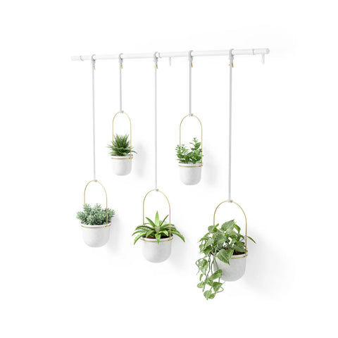 immagine-1-umbra-set-5-fioriere-a-sospensione-con-asta-bianco-ean-028295374866