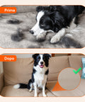 pride groom guanto morbido per tolettatura cani e gatti con cinturino regolabile ean 5053249270319
