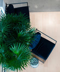 immagine-2-atmosphera-createur-dinterieur-palma-tropicale-artificiale-a-2-tronchi-con-vaso-per-interni-180cm-ean-3560232734977