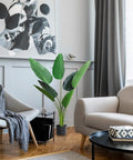 immagine-2-atmosphera-createur-dinterieur-strelitzia-tropicale-artificiale-con-vaso-per-interni-97cm-ean-3560232784989