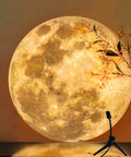 Dettaglio proiezione luna con cratere realistico in ambiente caldo con piante decorative, perfetto per meditazione e relax