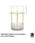 immagine-3-umbra-vaso-porta-piante-ad-altezza-regolabile-154x16-245x154cm-ean-028295367738