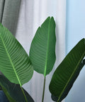 immagine-4-atmosphera-createur-dinterieur-strelitzia-tropicale-artificiale-con-vaso-per-interni-97cm-ean-3560232784989