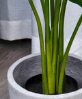 immagine-5-atmosphera-createur-dinterieur-strelitzia-tropicale-artificiale-con-vaso-per-interni-97cm-ean-3560232784989