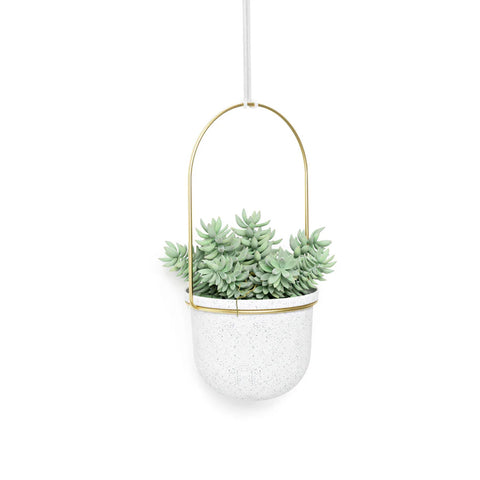 immagine-5-umbra-set-5-fioriere-a-sospensione-con-asta-bianco-ean-028295374866