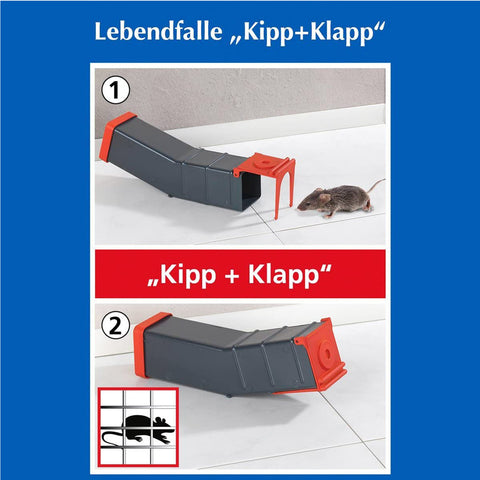 immagine-5-wenko-trappola-per-topi-24x65x599cm-ean-4008838548271