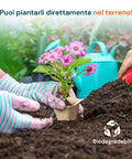 zendea vasetti in torba biodegradabili per semina e trapianto set 120 pezzi ean 8050030810546