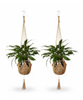 avilia set 2 portavasi in macrame intrecciato a mano con ganci a s ean 8056819053371