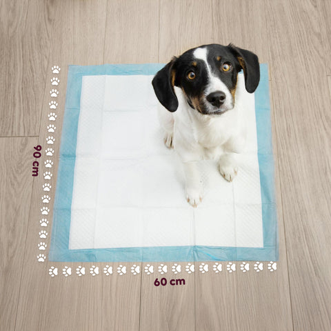 puppy lovers tappetini igienici essential 6090 set vari formati con adesivi ean 8054806950870