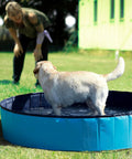 Labrador bianco in piscina per cani in giardino - Divertimento acquatico sicuro con proprietaria durante estate