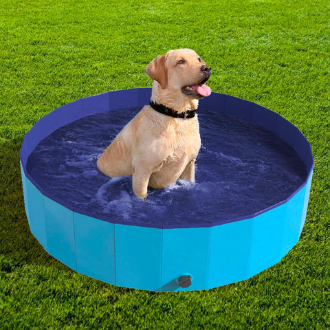 Labrador felice in piscina per cani 120x30cm - Divertimento estivo sicuro in giardino con vinile resistente