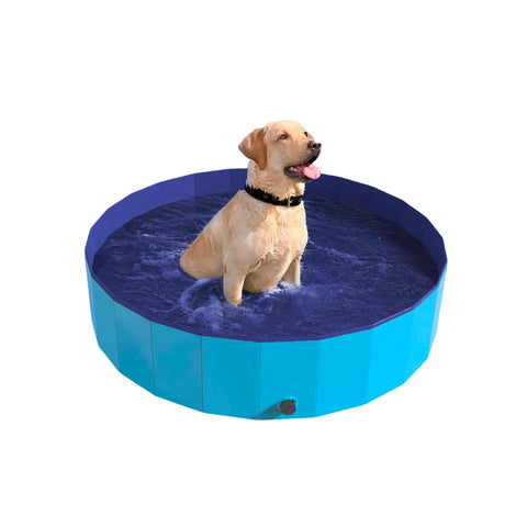 Labrador in piscina per cani 120x30cm azzurra - Vinile resistente 20% più spesso per animali domestici