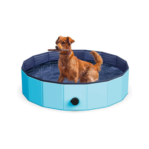 Piscina pieghevole per cani azzurra - Divertimento infinito in acqua per animali domestici estate 