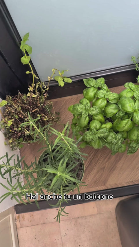 Avilia Set 3 Contenitori Cassetti Multiuso Portaoggetti Impilabili e Richiudibili Terrazzo Balcone Frutta Verdura Cibo Alimenti Frutta Verdura Piante Aromi Uso Esterno Ean 8056819050172