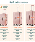 Valigie Trolley Rosa 56-66-76 cm in ABS con Doppie Ruote Girevoli