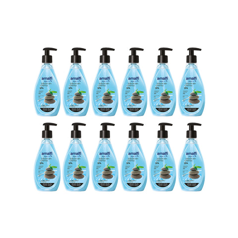 Lot de 12 distributeurs avec savon liquide 500 ml