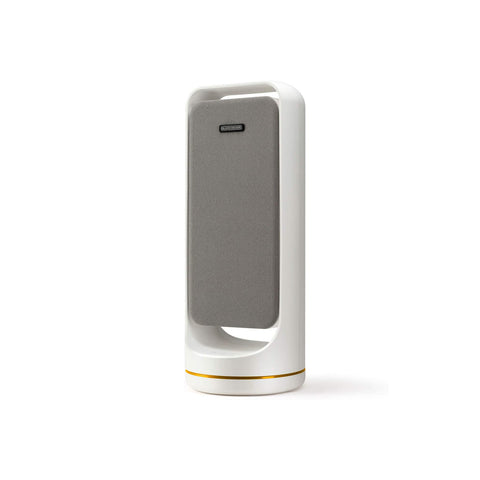 Purificateur d'Air Double Système de Filtration