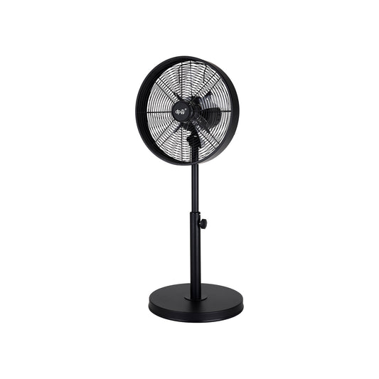 immagine-1-dpm-ventilatore-a-piantana-in-metallo-nero-60w-ean-8028533000412