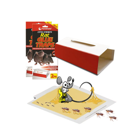 immagine-1-pestshield-set-2-trappole-richiudibili-per-topi-ean-5050375947825