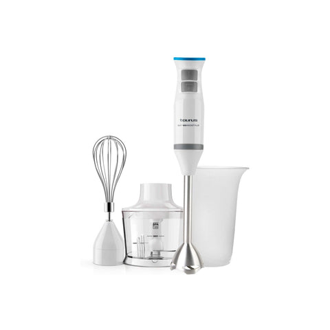 Ensemble mixeur plongeant et accessoires 1000 W