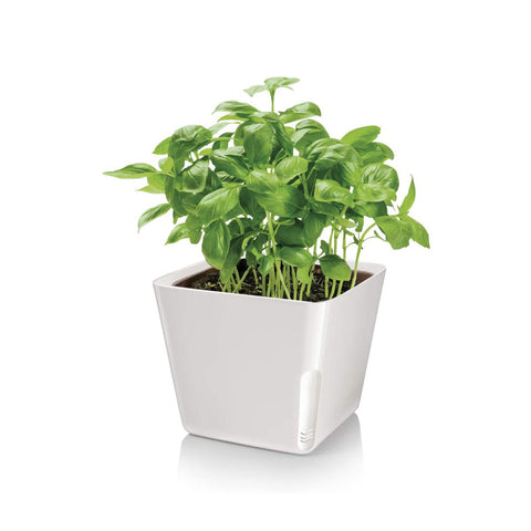 immagine-2-tescoma-vaso-per-piante-quadrato-metallo-bianco-13x11cm-ean-8595028400946